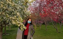 全高清视频直播系统